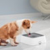 Water Bowl O