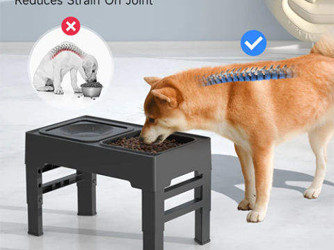Raised Dog Bowls