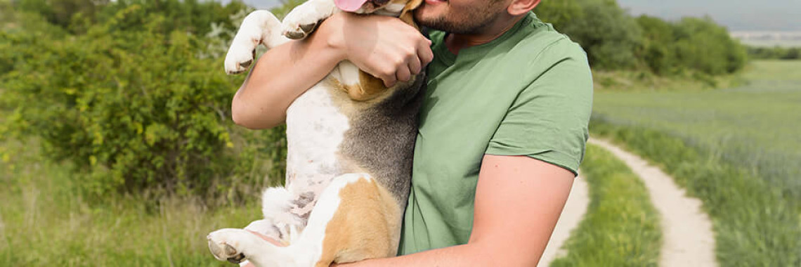 Why Do Dogs Bury Bones and Other Goodies?