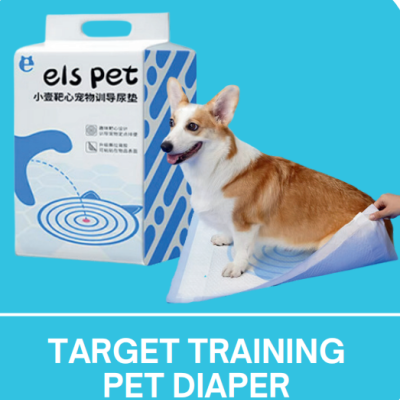 Target Training Pet Diaper, 50/33*45