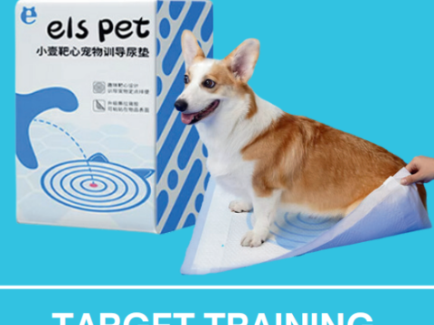 Target Training Pet Diaper, 50/33*45